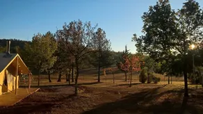 Domaine de la Salvage - Image 3