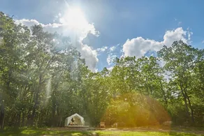 Tentrr - Abandoned Zoo Wooded Site - Image 3
