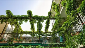 Locanda Paradiso - B&B - Image 5