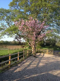 The Ings - Image 3