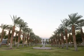Zimmer-Eilat - Image 3