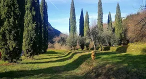 Tre Ponti - Image 5
