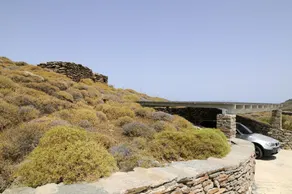 Thalatta Thalatta - Image 5