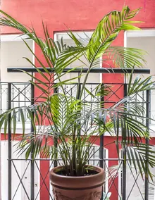 Apartamento en el centro histórico - Image 4