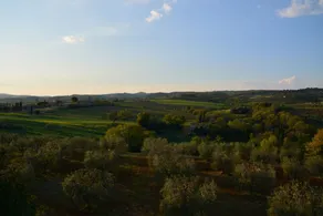 L'Aquilone - Image 4