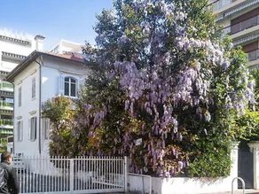 Villa With 7 Bedrooms in Cannes, With Wonderful City View, Furnished G - Image 2