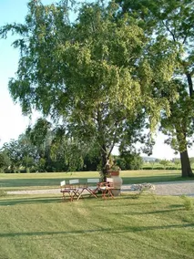 Villa Traverso Pedrina - Image 4
