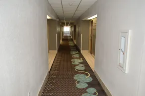 SureStay Hotel by Best Western New Buffalo - Image 1