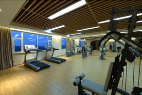 Swan Lake Resort Hot Spring Jiangba - Image 4