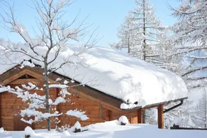 Camping Village Yolki Palki - Image 4