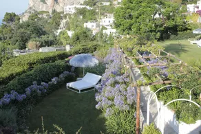 Suite Garden - Image 4
