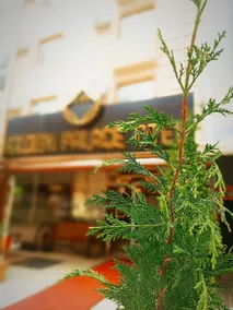 GOLDEN PALACE OTEL POLATLI - Image 2