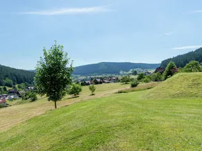 Quietly situated, bright apartment in Baiersbronn with private balcony - Image 3