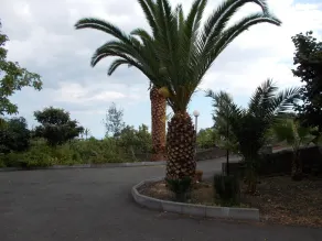 Il Nido delle Aquile dell'Etna - Image 3