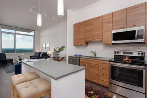 Pdc Luxury Apt Tysons Corner - Image 3