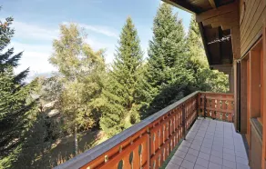 Larix - Image 5