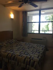 Palm Residence - Image 4