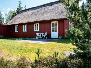 Relaxed Holiday Home in Rømø Foreseeing Lush Garden - Image 5
