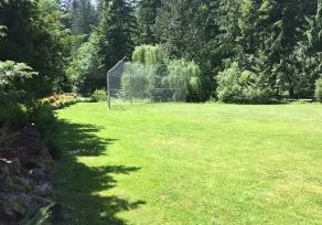 Mt Baker Lodging Cabin 4 - Sleeps 5 - Image 5