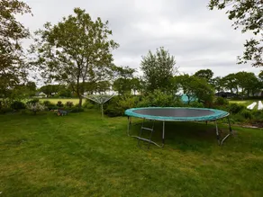 Cozy Holiday Home in Moergestel with Garden - Image 2