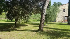 Il Podere San Giuseppe - Image 2