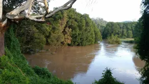 Motel Nimbin Rocks Retreat - Image 4