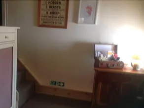 Lilly's Pad - Image 5