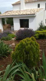 Casa Cazorla - Image 2