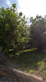 Remanso de Paz - Image 4