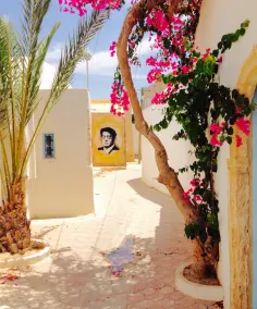 Dar Aziza - Image 5