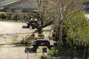 Le Quattro Piume Agriturismo - Image 3