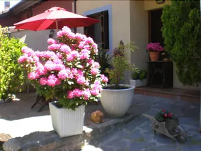 Casa Merche - Image 4