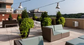 Global Luxury Suites at Spring Hill - Image 5