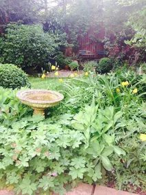 Enchanting in East Sheen - Image 5