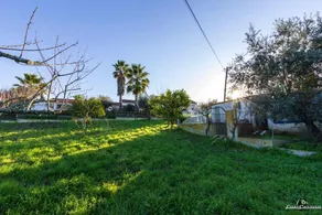 House With 2 Bedrooms in Arraiolos, With Enclosed Garden and Wifi - Image 3