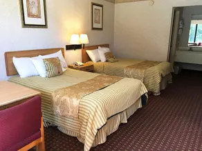 Americas Best Value Inn-Brandon/Jackson East - Image 4