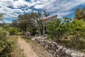 Casa Verde - Image 5