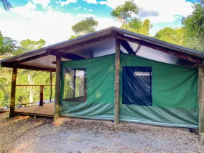 Binna Burra Rainforest Campsite - Image 2