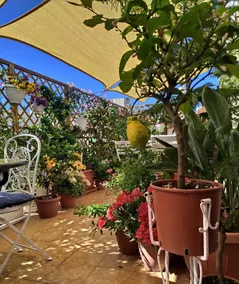 Alghero Roof Garden - Image 4