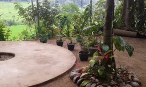 Kandy Village Glamping - Image 3