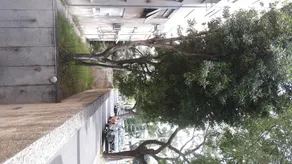 Marino - Image 3