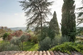 Agriturismo San Rocco - Image 3