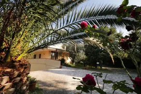B&B D'Avino - Image 5