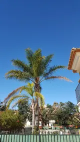 Bungalow Morten - Image 3