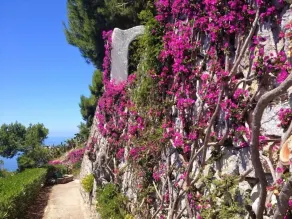 Casa Roberta - Image 5