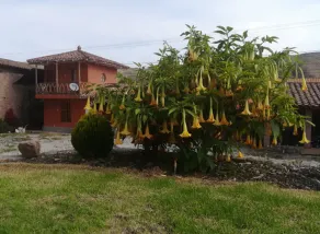 Casa Redonda Lodge - Image 5