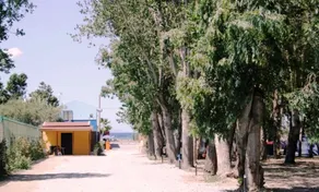 Salicamp - Image 5