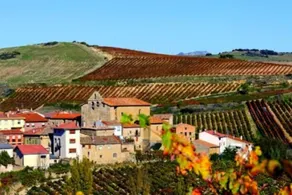 House With 4 Bedrooms in Viñaspre, With Wonderful Mountain View, Enclo - Image 3