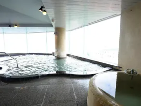 Fuji Hakone Land Schole Plaza Hotel - Image 3