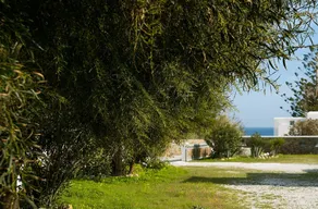 Bella Alba - Image 3